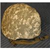 Image 1 : Military Helmet pasgt unicor