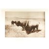 Image 5 : 29 Vintage L A Huffman Collotypes