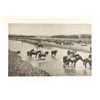 Image 6 : 29 Vintage L A Huffman Collotypes