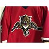 Image 3 : FLORIDA PANTHERS JOHN VANBIESBROUCK SIGNED JERSEY