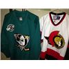 Image 2 : LOT OF 5 NHL JERSIES INC: COYOTES, COYOTES,