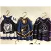 Image 2 : SET OF 5 ASSORTED NHL 'FROZEN IN TIME'
