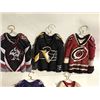 Image 2 : SET OF 5 ASSORTED NHL 'FROZEN IN TIME'