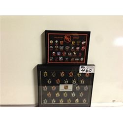 2 NHL COLLECTOR PIN SETS INC: NHL TEAM PIN SET