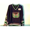 Image 1 : HARTFORD WHALERS #9 GORDIE HOWE JERSEY