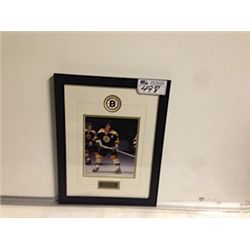 FRAMED AND MATTED WALL MOUNT DISPLAY