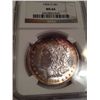 Image 1 : 1904-0 NGC MS-64 SILVER MORGAN DOLLAR RAINBOW COIN