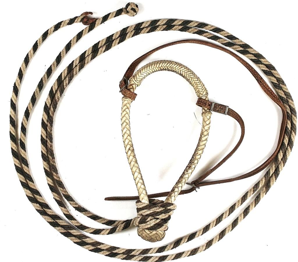 Unmarked rawhide bosal with rope reins.