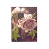 Image 1 : Carlo Agazzi (20th Century) Italian FLOWER, oil painting on board, 11 1/2 x 8 1/2", signed lower...