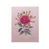 Image 1 : Salvador Dali (1904-1989) Spanish DAHLIA RA PAX (M.538; F.72-7H) color lithograph with letterpres...