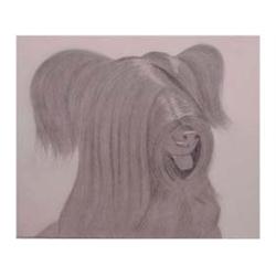 Alex Katz (b. 1927) American SUNNY, 1974, aquatint and drypoint etching, signed in pencil, from t...