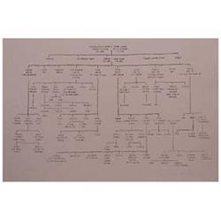 Guillermo Kuitca (b. 1961) Argentinian GENEOLOGY, 1993, lithograph, signed in pencil, from the nu...