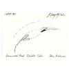Image 1 : Mary Miss (b. 1944) American GREENWOOD POND: DOUBLE SITE, 1989-96, ink drawing on paper, 4 x 6",...