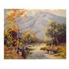 Image 1 : A. Stubbe (20th Century) MOUNTAIN SYCAMORE, oil painting on board, 24 x 30", signed lower right,...