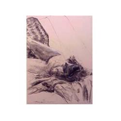 Joyce Treiman (1922-1991) American STUDY FOR LARGE M, 1977, charcoal drawing on paper, 30 x 22",...