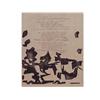 Image 1 : Esteban Vicente (b. 1904) American NOSTALGIA (from Twenty-One Etchings and Poems), 1960, etching...