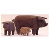 Image 1 : Folk & Outsider Art PIG FAMILY, the set of three carved wood sculptures, 11" long & 5" high, 7" l...