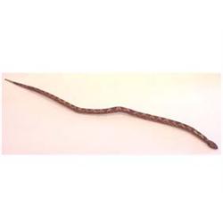 Folk & Outsider Art DIAMOND BACK RATTLESNAKE, hand painted carved wood sculpture, 51" long, lacki...