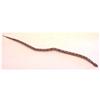 Image 1 : Folk & Outsider Art DIAMOND BACK RATTLESNAKE, hand painted carved wood sculpture, 51" long, lacki...