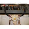 Image 2 : Plaster Skull with Eagle Wall Art Artificial Cow Skull with Eagle