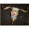 Image 2 : Hand Painted Skull Cow Skull Hand signed and Painted by Nancy Killdeer