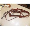 Image 1 : Show Halter and Lead