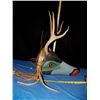 Image 1 : Deer Wood  Mask Handcrafted