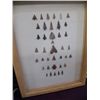 Image 1 : 39 Framed Arrowpoints