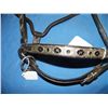 Image 1 : Horse Show Halter