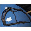 Image 3 : Horse Show Halter