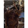 Image 3 : Solid Wood Indian