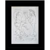 Image 1 : 1956 ANTIQUE PICASSO LITHOGRAPH