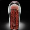 Image 1 : ART GLASS ORANGE JELLYFISH GLOW IN THE DARK