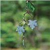 Image 1 : MAPLE LEAF WIND CHIME