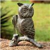 Image 1 : OWL RAIN GAUGE