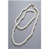 Image 1 : Strand of cultured pearls with gold clasp.