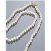 Image 2 : Strand of cultured pearls with gold clasp.