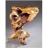 Image 1 : Abstract carved tree trunk table.