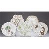 Image 1 : A group of 5 Limoges oyster plates.