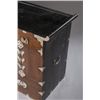 Image 2 : A Korean chest with butterfly and insect mounts.