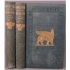 Image 2 : Layard. NINEVEH AND ITS REMAINS. 2 Vols. NY: 1849.