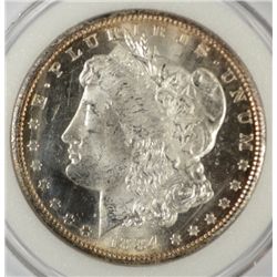 1884CC  Morgan $ MS63 est $225-$230