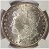 Image 2 : 1884CC   Morgan $   NGC63  est  $215-$220