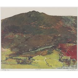 Raymond Minz  - WINDY GAP