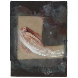 Rita Duffy (b.1959) - DIVER, 2004