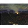 Image 1 : Tim Goulding (b.1945) - DISTANT FIRE NR. INCHIGEELA, COUNTY CORK, 1993