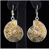 Image 1 : 10.60GRAMS AMMONITE FOSSIL GEMSTONE SNAIL EARRING