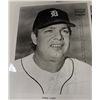 Image 1 : GROUP OF TIGER AUTOGRAPHS, KELL, McCLAIN, GEHRINGER, KALINE, FREEHAM CASH, ROGEL