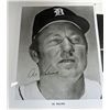 Image 3 : GROUP OF TIGER AUTOGRAPHS, KELL, McCLAIN, GEHRINGER, KALINE, FREEHAM CASH, ROGEL
