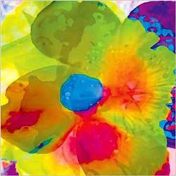 Olivier Kosovsky Art Print Fluo Flower